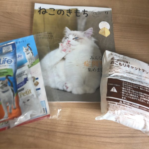 値引きする ねこのきもち9月号付録付き 本 猫おもちゃ